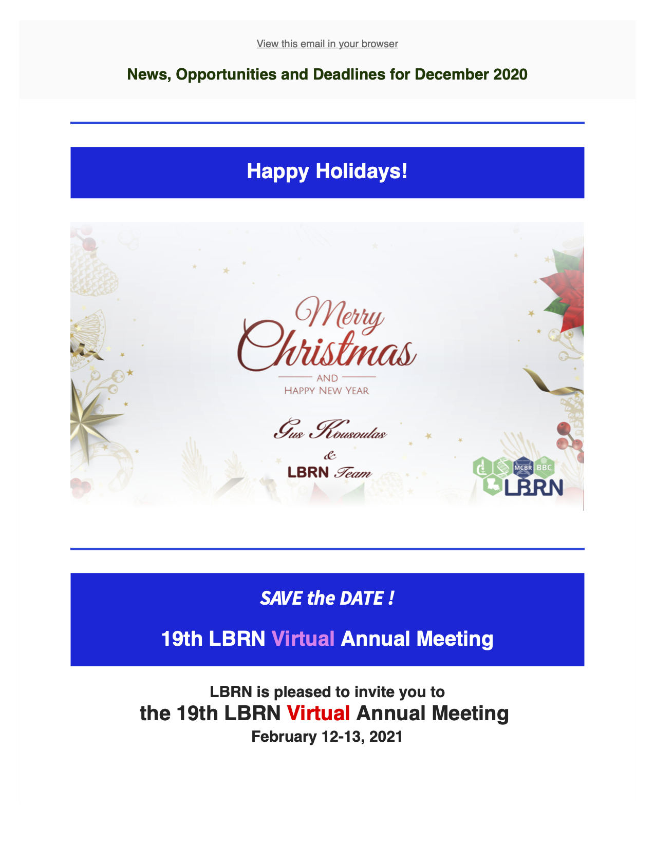 lbrn newsletter December 2020